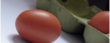 Huevos y ovoproductos